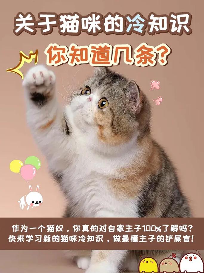 十万个冷知识之猫咪到底知不知道自己是只“猫”。