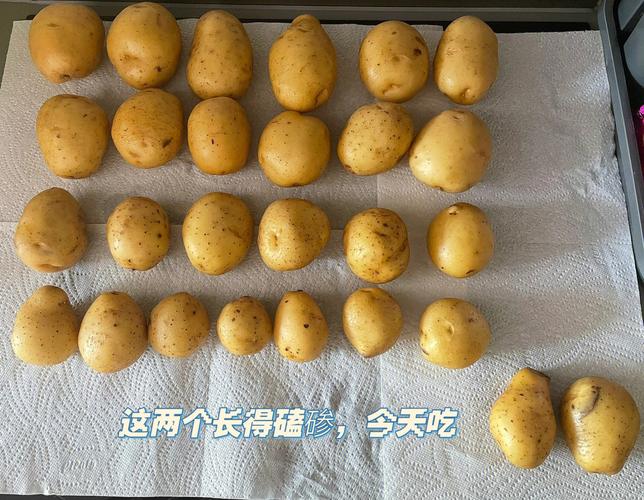 壹邦健康知识科普土豆怎么样保存才能不发芽