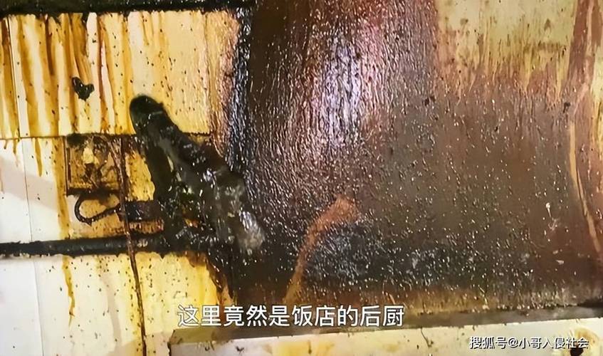 河南保洁上门打扫饭店,老板却好心奖励几个菜,被认为恩将仇报