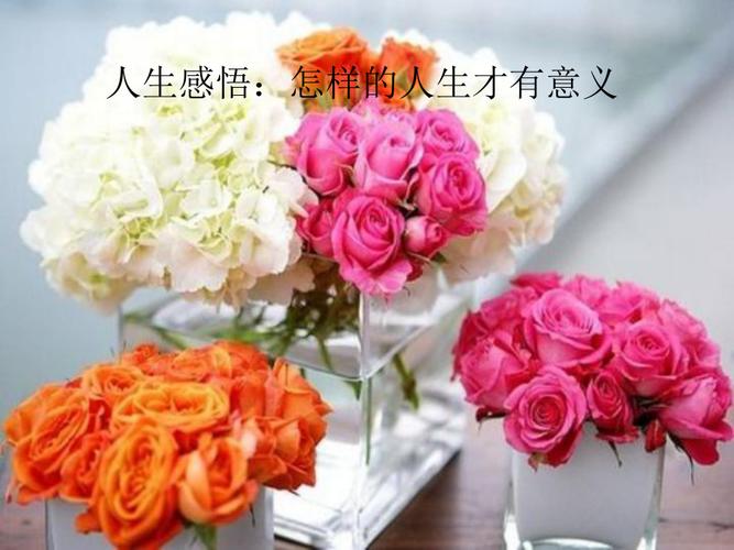 怎样的人生才算是有意义。