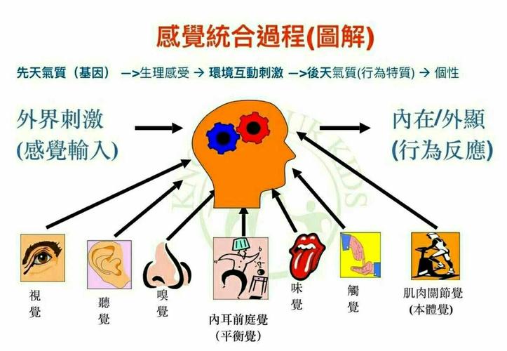 科普SI感觉统合