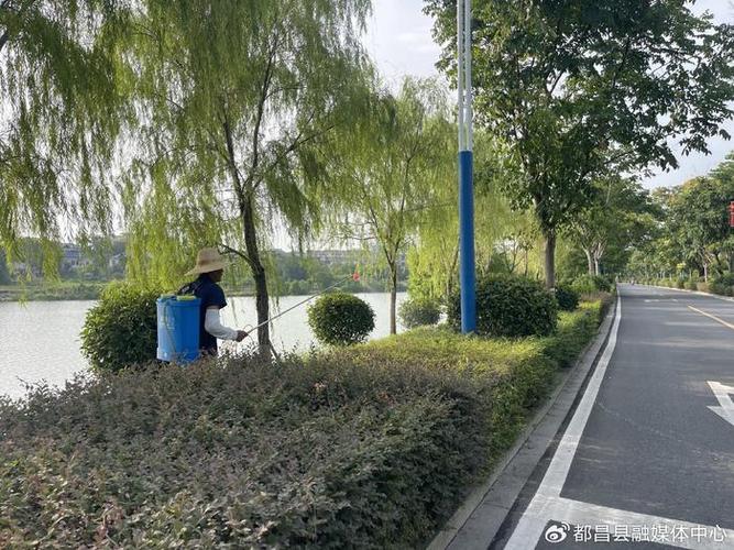 经开区加强绿化管护提升城市整体形象