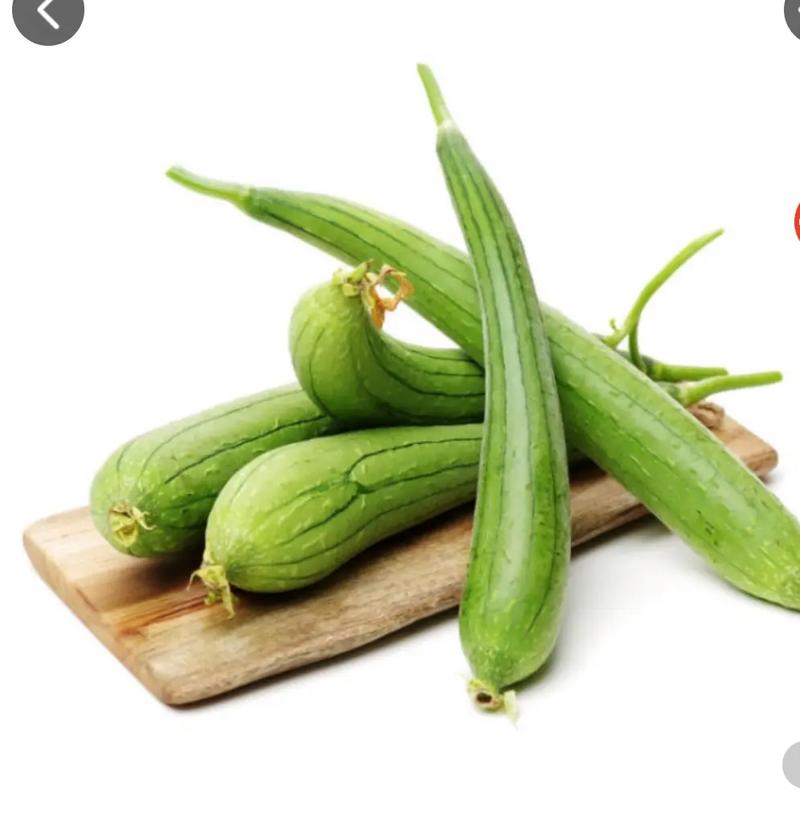 生活中常吃的蔬菜有哪些。