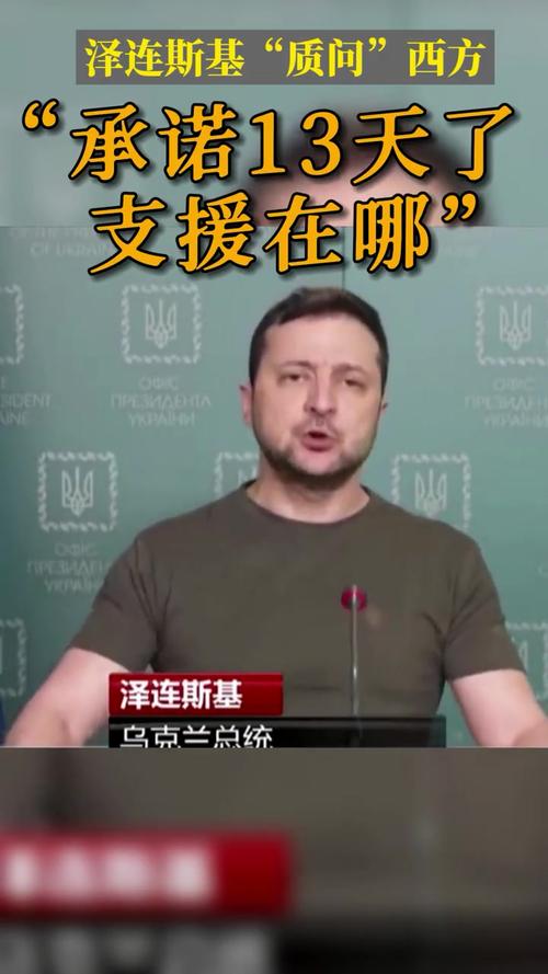 让卖性保健品的当大使，泽连斯基咋想的。