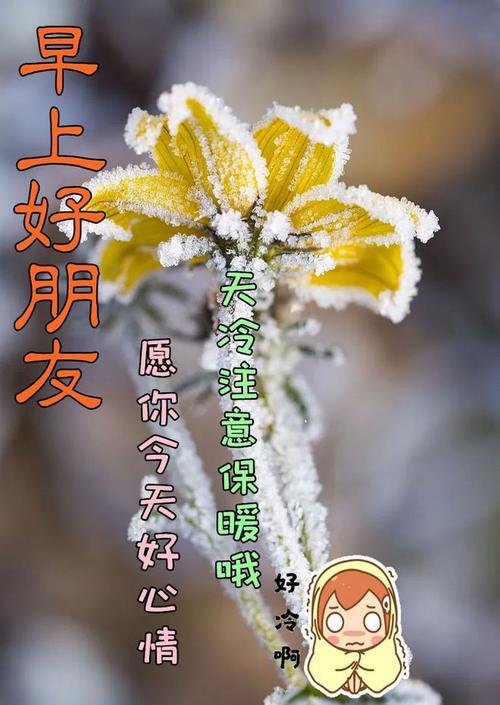 上午好祝福图片带字温馨不用打字聊天的冬天问候祝福图片文字精选
