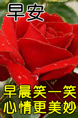 1月26日冬季周三特别漂亮的早上好图片,美女早上好动态风景图片
