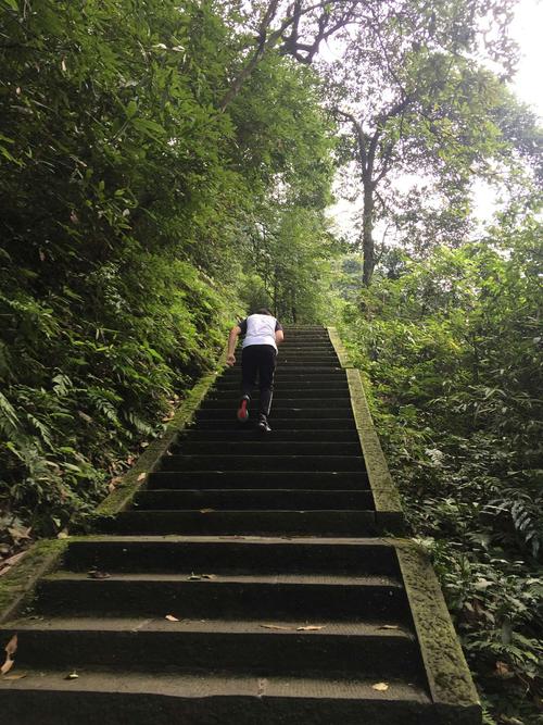 走起,周末去眉山爬山,看看东坡区海拔最高点→