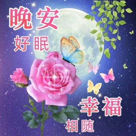 晚上好唯美图片,晚上好唯美温馨祝福语,晚上好的问候图片,夜晚愉快好心情
