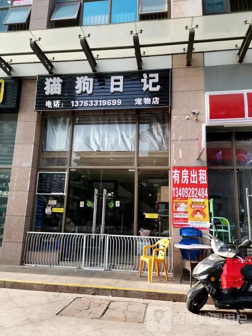 乡书记受贿5900万写进日记800万给情妇开宠物店