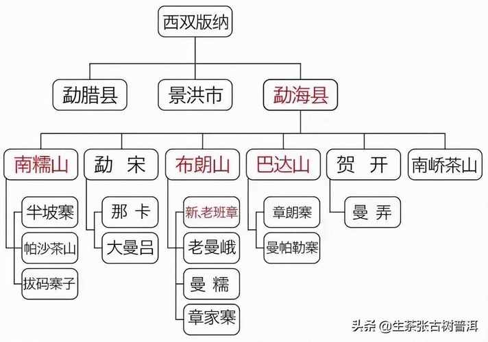 简述普洱茶知识产地、形态特征、生长环境,值得收藏