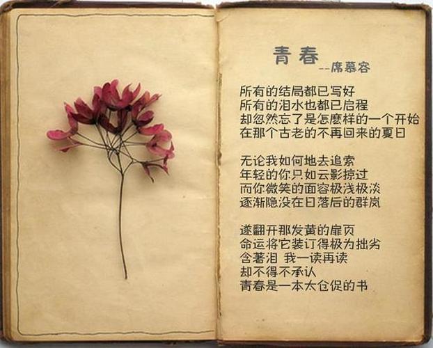 席慕容《美丽的声音》
