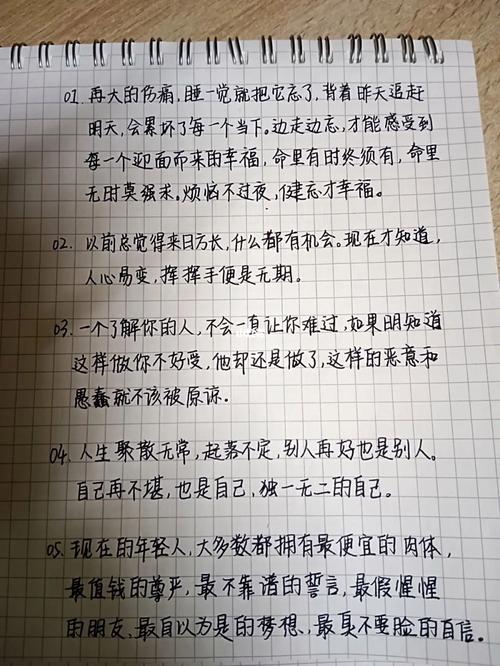 惊艳到你的好句文案摘抄人们总喜欢背刺活着的人,歌颂死去的人