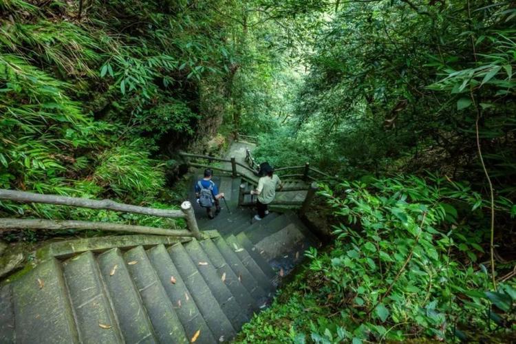 徒步峨眉山,可不止看风景那么简单
