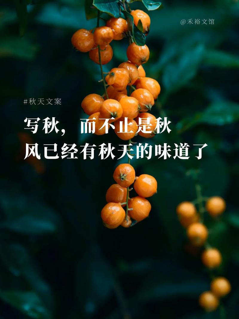 关于初秋的文案唯美短句子，风景好，心情爽