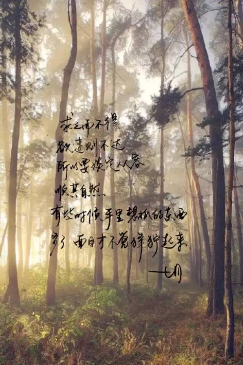 怎样才能留住生命中无法重来的瞬间。