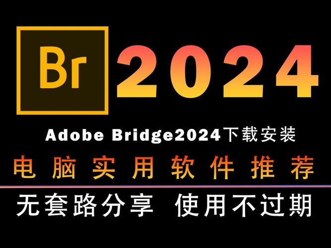 Br2024最新版本下载adobebridge文件管理浏览软件下载安装