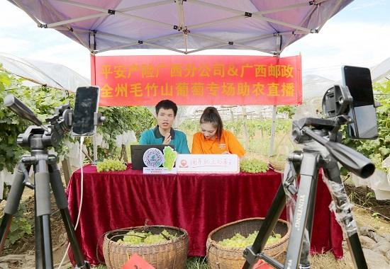 客观分析基层信息,直观获取助农方法