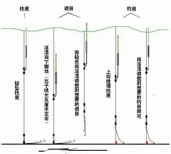 小白到高手的进阶之路淡水湖泊钓鱼技巧