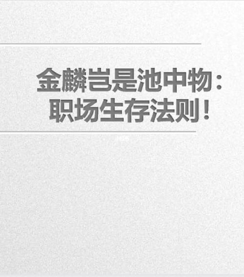 明白职场生存法则,你迟早成大器