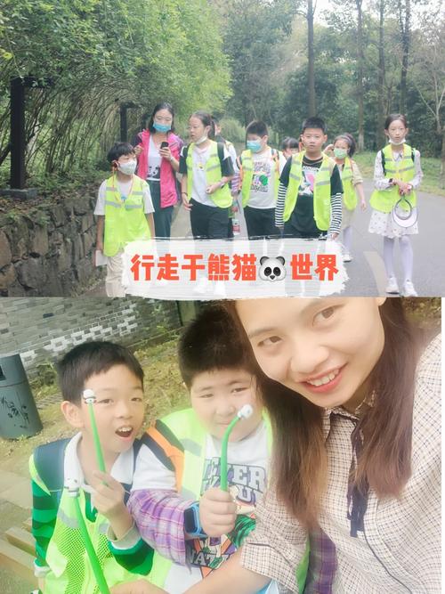熟知的幸运熊猫这个游戏的一些技巧玩法心得总结