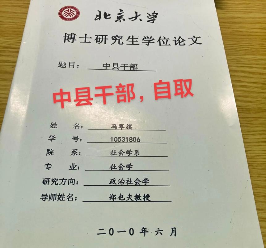 冯军旗北大博士论文中县干部一