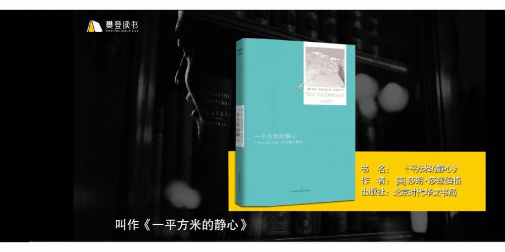 正念入门书籍推荐一平方米的静心，构筑职场8大支柱