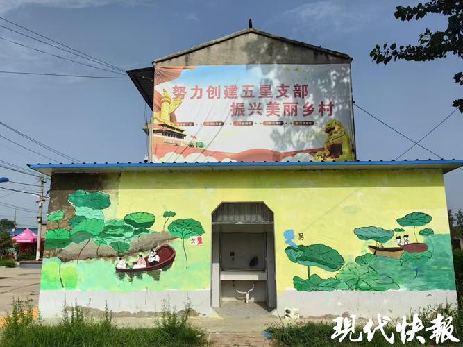 9名大学生在淮安农村住了20天,留下一道“风景线”