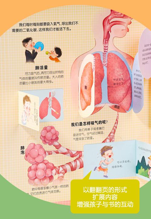 了解你的身体,给小朋友的科普趣味书籍
