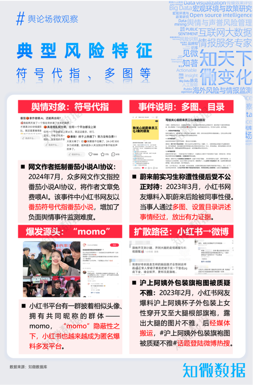 专题报告看懂小红书,年轻人热爱的生活百科全书|探舆论场