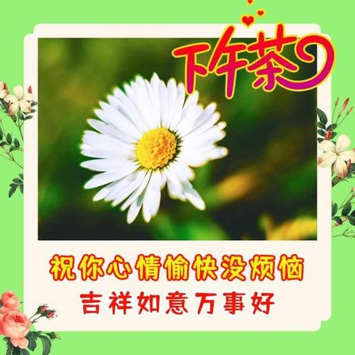 下午好带字图片大全,不打字聊天图片问候语