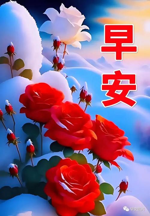 今日最新早安漂亮聊天问候图片大全