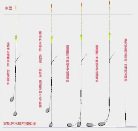 钓罗非鱼的实战技巧