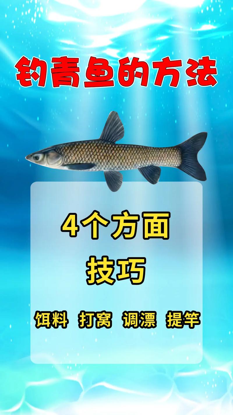 坑钓鱼技巧黑坑钓鱼心得体会黑坑钓鱼的经验总结
