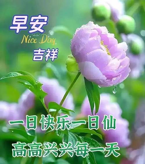2024最新版早安祝福语问候图片大全,温馨漂亮的早安祝福图片大全