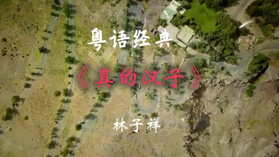 每日听首粤语歌林子祥《真的汉子》电视剧《当代男儿》主题曲