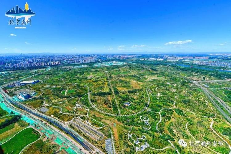公园广场维修改造:焕新城市生活的绿色客厅