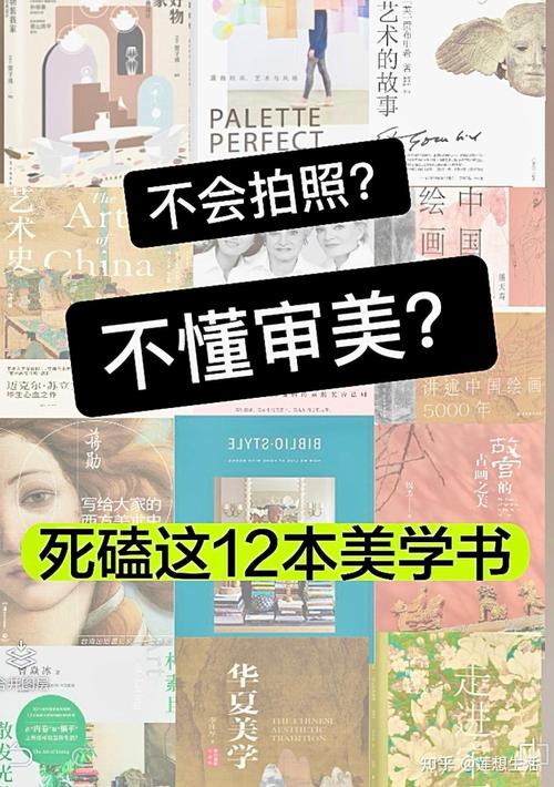 池塘维修报告:生态恢复与景观美学的双重提升