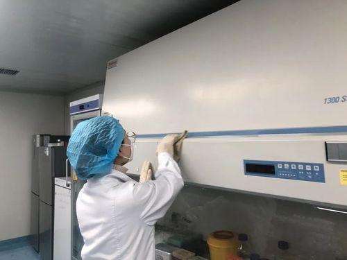 生物安全柜维修:守护实验室安全的守护者