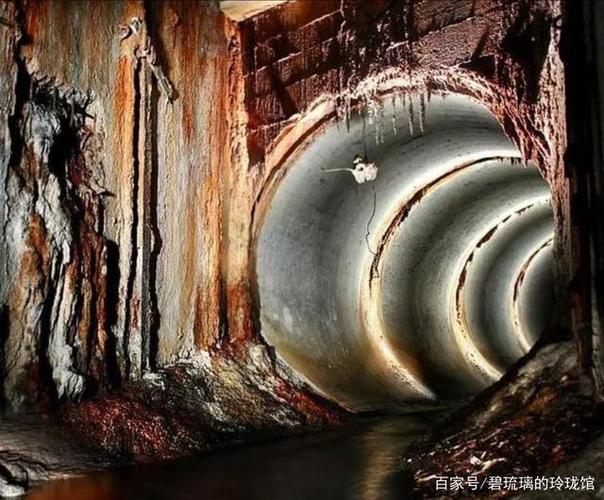 下水道重生：卫生间维修背后的科学艺术