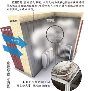 墙体发霉维修报告单解读:探寻家居健康的守护之路
