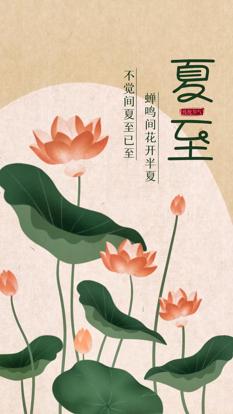 夏至时节,道路养护正当时_夏日道路维修报告解读