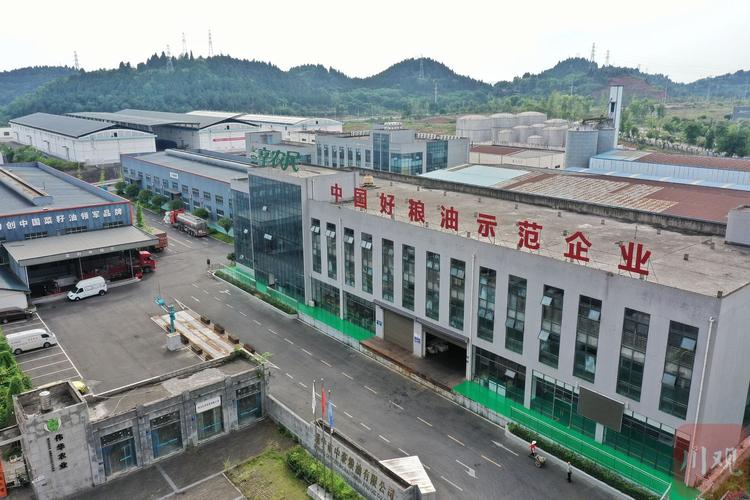 分厂工房维修报告:确保生产稳定,助力企业发展