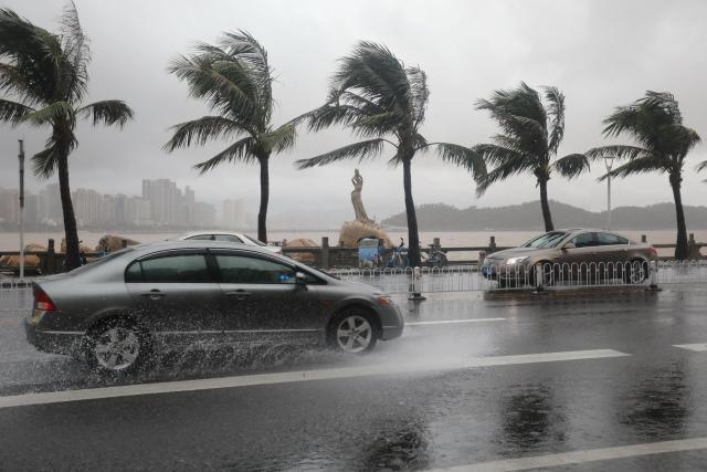 台风肆虐，城市守护者：维修报告中的风雨历程