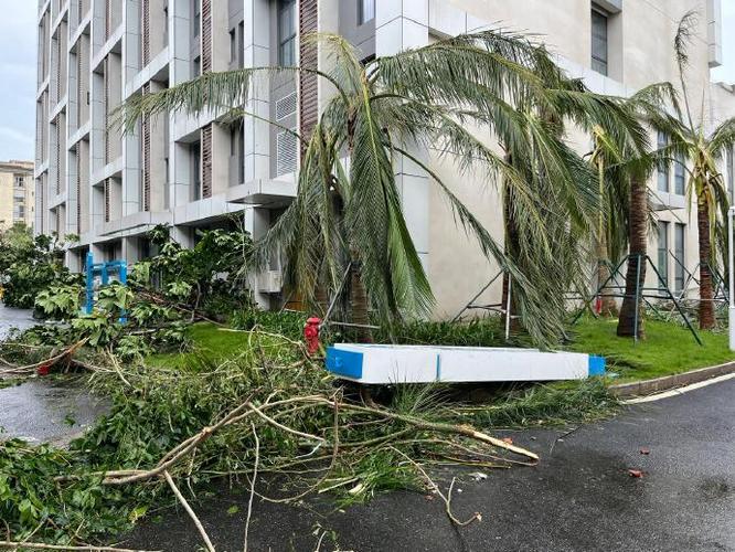 台风过后,家园重生_一场受损维修的重建奇迹