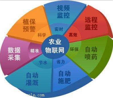 大棚维修与农业可持续发展_基于XX大棚维修情况报告的分析