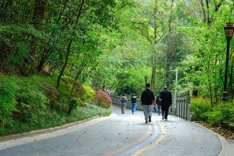 景区步道维修,绿色旅游新篇章
