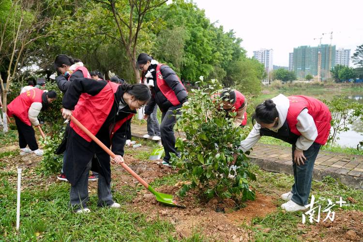 校园绿意盎然,草坪维修助力校园生态和谐