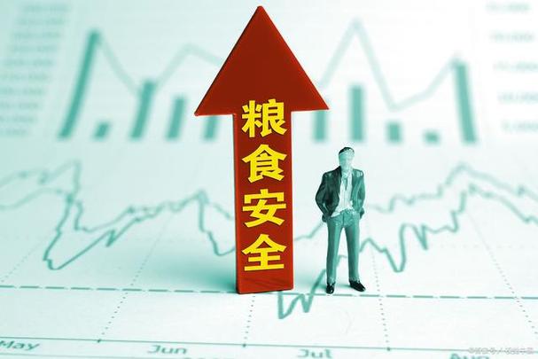 粮仓维修：保障国家粮食安全的重要举措