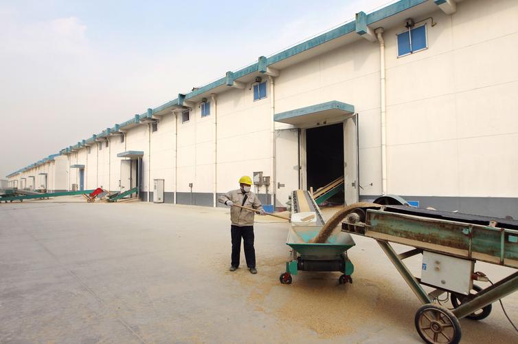 粮库仓房维修:筑牢粮食安全防线,守护丰收果实