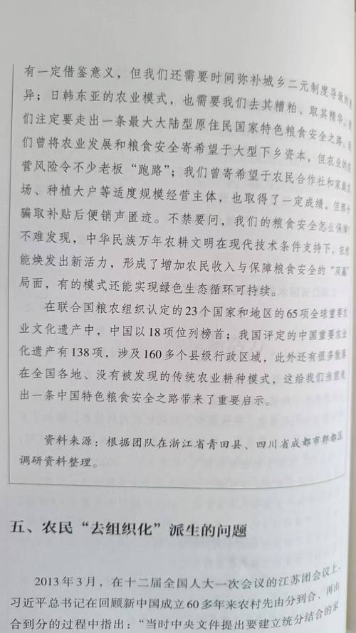 村学校维修报告引发的思考:乡村教育振兴之路